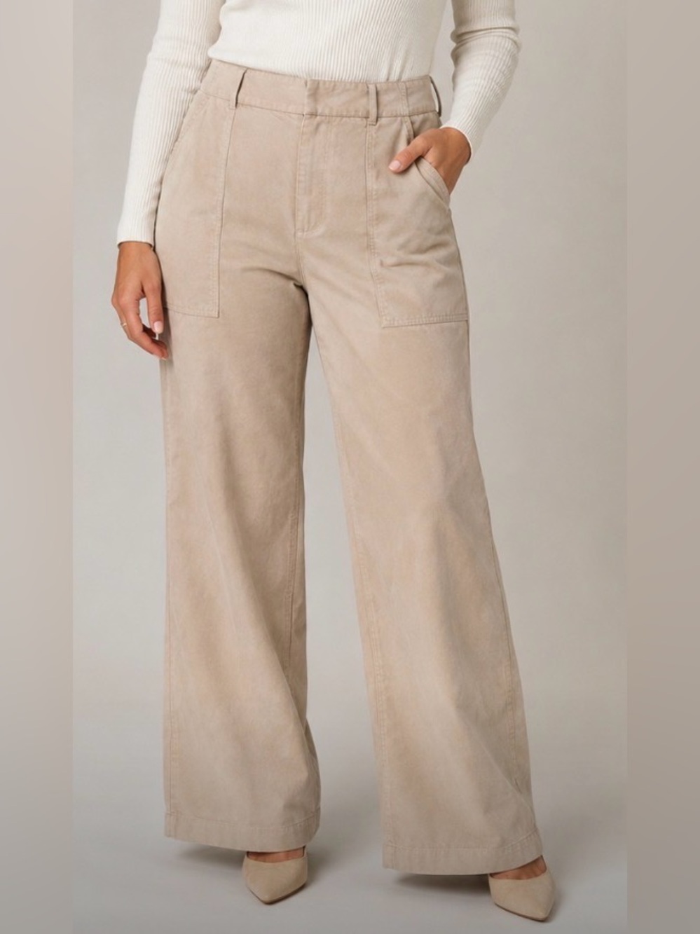 Banana Republic Women’s Vegan Faux Suede High Rise Wide Leg Pants Size 12